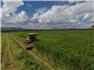 Arizona Farm Lot and Land Auction for Sale
