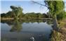 Arizona Farm Lot and Land Auction for Sale