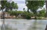 Arizona Farm Lot and Land Auction for Sale