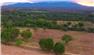 Arizona Farm Lot and Land Auction for Sale
