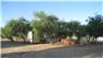 Arizona Farm Lot and Land Auction for Sale