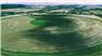 Arizona Farm Lot and Land Auction for Sale