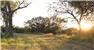 Arizona Farm Lot and Land Auction for Sale