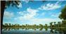 Arizona Farm Lot and Land Auction for Sale