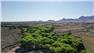 Arizona Farm Lot and Land Auction for Sale