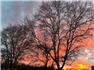 Arizona Farm Lot and Land Auction for Sale