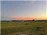 Arizona Farm Lot and Land Auction for Sale