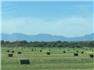 Arizona Farm Lot and Land Auction for Sale