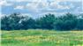 Arizona Farm Lot and Land Auction for Sale