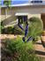 Arizona Farm Lot and Land Auction for Sale