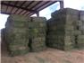Arizona Farm Lot and Land Auction for Sale