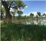 Arizona Farm Lot and Land Auction for Sale