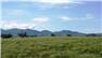 Arizona Farm Lot and Land Auction for Sale