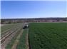 Arizona Farm Lot and Land Auction for Sale