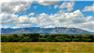 Arizona Farm Lot and Land Auction for Sale