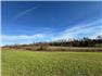 126± Acres-Premier Tillable Land w Two 5.5+ Acre Bldg Sites, Hodgenville, KY for Sale