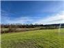 126± Acres-Premier Tillable Land w Two 5.5+ Acre Bldg Sites, Hodgenville, KY for Sale