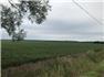 70 acres of agricultural land for Sale