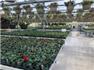 GROWERS RETAIL GARDEN CENTRE for Sale