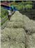 Certified organic hay for Sale