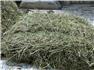 Certified organic hay-round and square bales for Sale