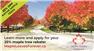 25% Cashback on Native Maple Trees for Sale