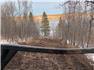Custom mulching/land clearing for Sale
