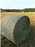 Horse Hay 1st Cut 4x5 Round Bales for Sale