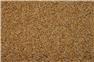 Certified #1 CDC Vantta Durum for Sale