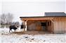 Beautiful Century Home/Hobby Farm for Sale