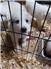 Livestock Guardian Puppies for Sale