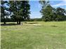 Katahdin Sheep Ram and Ewe Lambs for Sale
