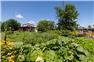 Beautiful Hobby farm - minutes from USA border for Sale