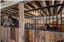 Horse Farm  for Sale
