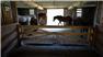 65 ACRE HORSE RETREAT EAST OF KINGSTON for Sale
