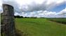 65 ACRE HORSE RETREAT EAST OF KINGSTON for Sale