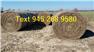 Alfalfa Hay : 350 - LARGE NET WRAPED ROUND BALES ALFALFA/ORCHARD MIX for Sale