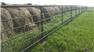 USED STEEL OILFIELD PIPE FOR LIVESTOCK for Sale