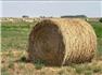 2024 Alfalfa Brome Hay for Sale