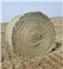 Round Hay Bales for Sale