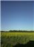 Farm in Northern Ontario for Sale