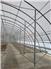 96 ft x 38 ft Clearspan Professional Greenhouses for Sale