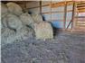 Round Grass Hay Bales for Sale