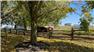 97 ACRE FARM IN BLACKSTOCK, ON, for Sale