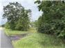 34.5 Acre Farm Chipley Florida for Sale