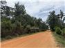 34.5 Acre Farm Chipley Florida for Sale