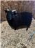 Yearling Shetland Ram for Sale