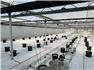 100 Acres + 500,000 sf Greenhouse Facility for Sale