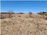 185 Acres in Clarington ON for Sale