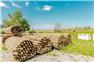 42 Acres with Apple Orchard in Grimsby for Sale